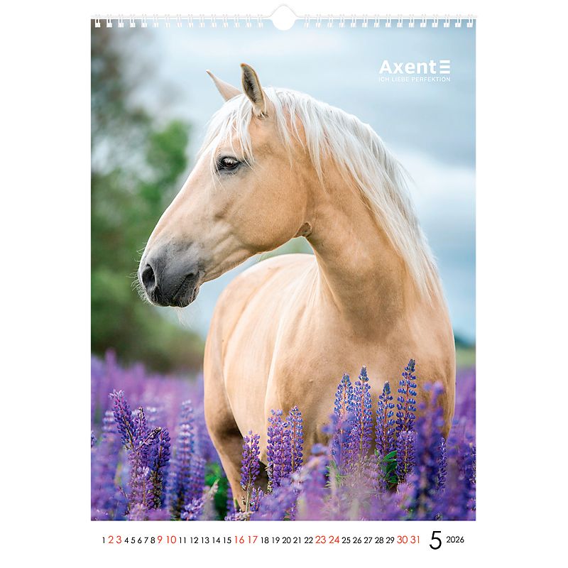 Календар настінний А3 2026 р. , Horses фото 10 Календар настінний А3 2026 р. , Horses фото 10