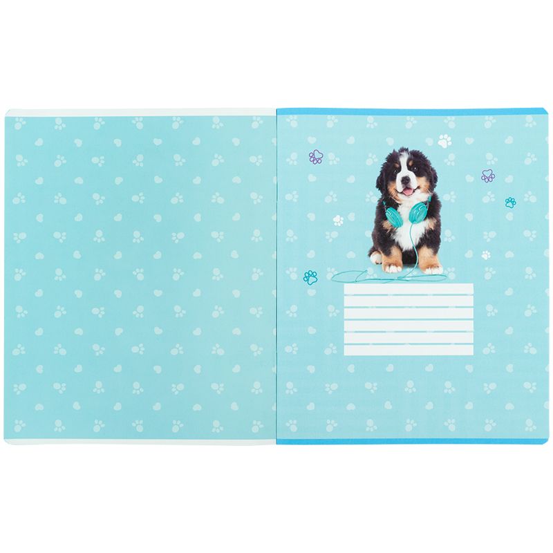 Тетрадь 24 л. , кл. , софт тач + УФ лак, SP  фото 11