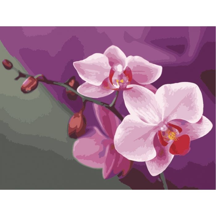 Картина за номерами "Рожеві орхідеї" ★★★