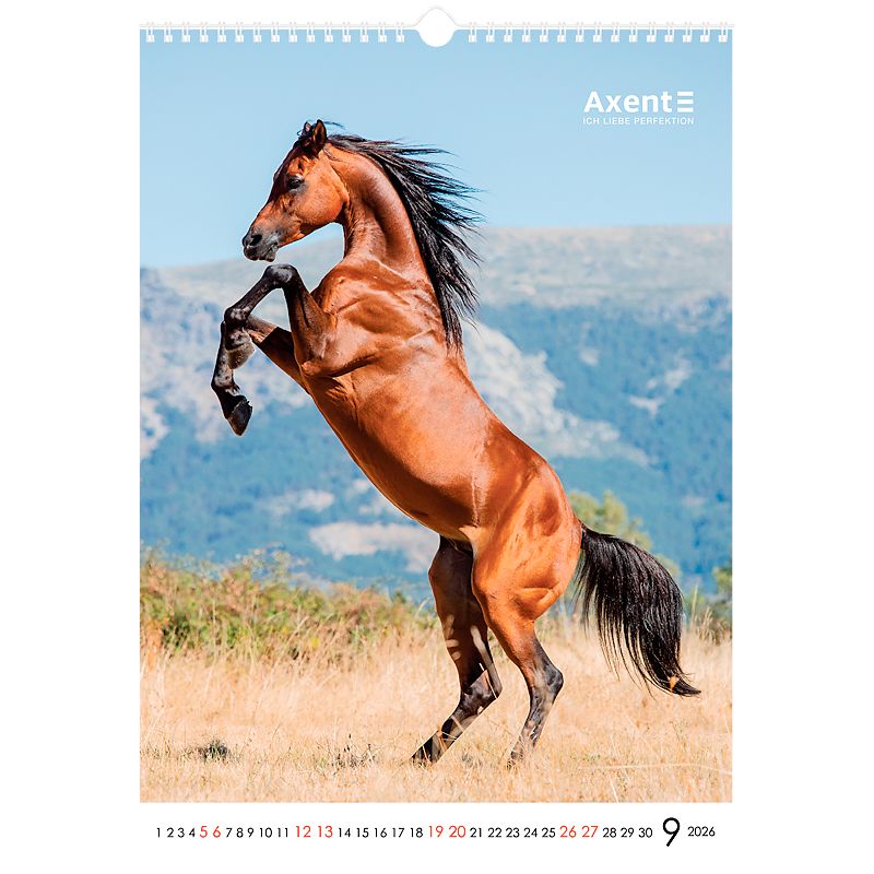 Календар настінний А3 2026 р. , Horses фото 14 Календар настінний А3 2026 р. , Horses фото 14