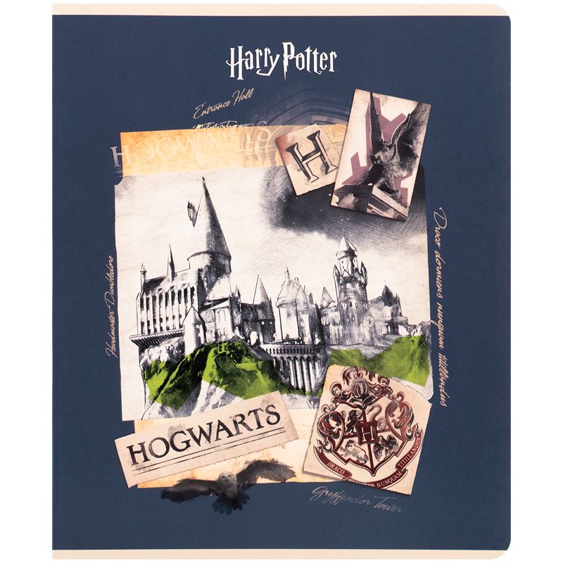 Тетрадь 24 л. , кл. , софт тач + УФ лак, HP  фото 15