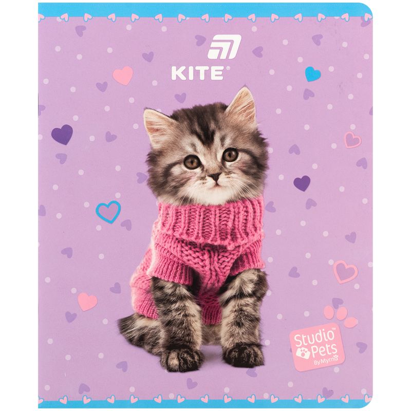 Тетрадь 24 л. , кл. , софт тач + УФ лак, SP  фото 15