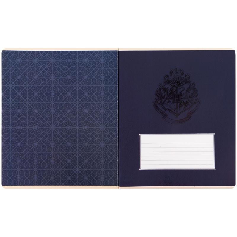 Тетрадь 24 л. , кл. , софт тач + УФ лак, HP  фото 16