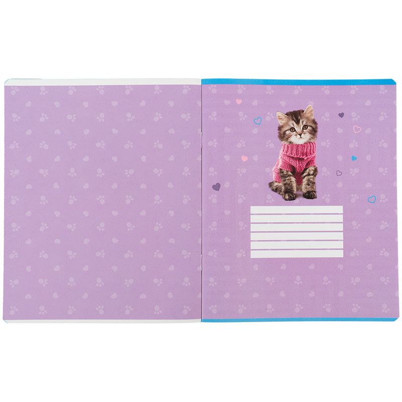 Тетрадь 24 л. , кл. , софт тач + УФ лак, SP  фото 16