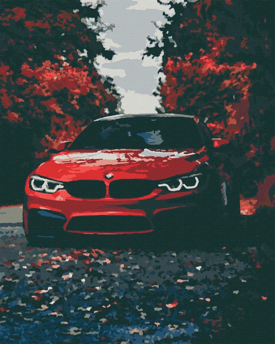 Картина за номерами "Червона красуня"  фото 1