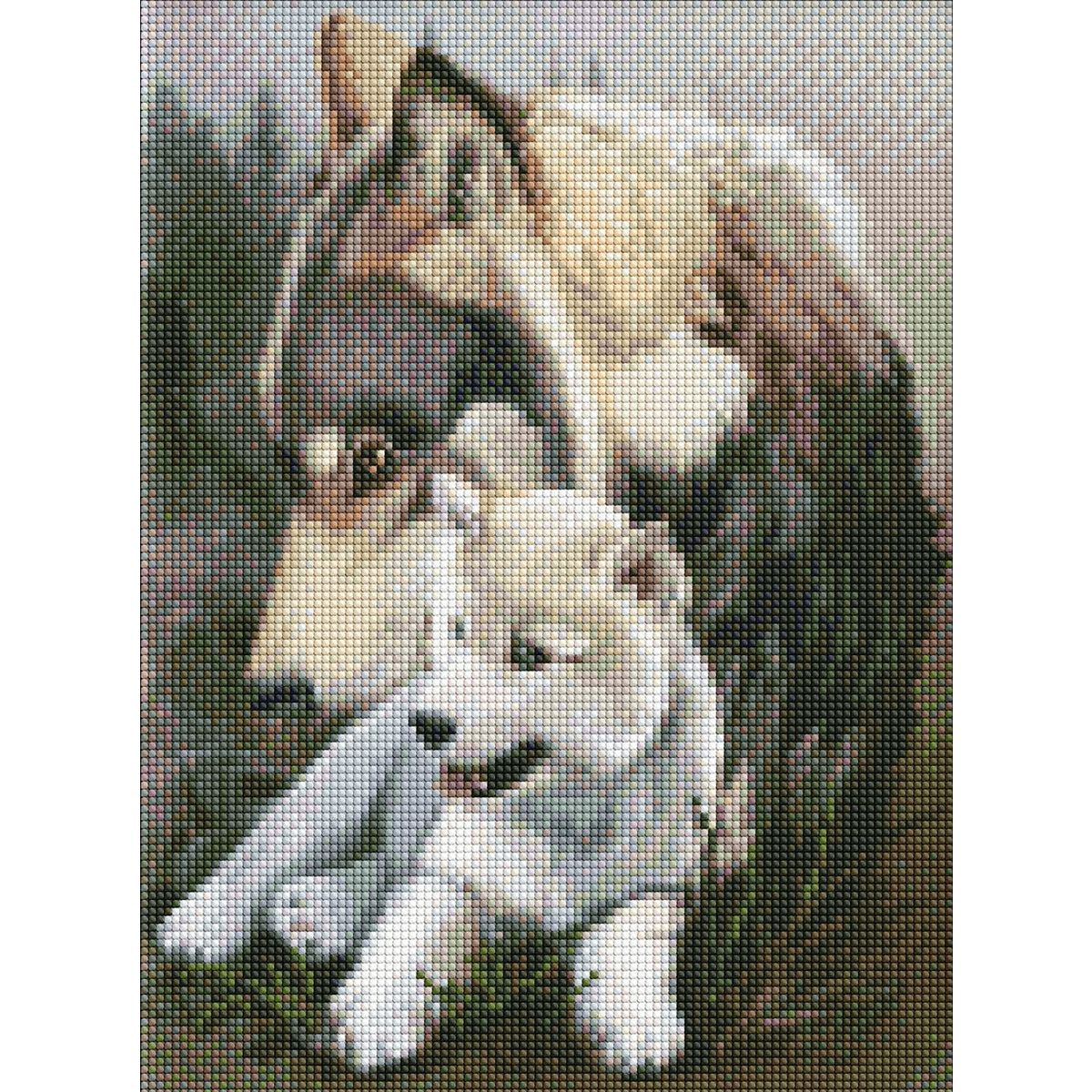 Алмазная мозаика "Волчья нежность"