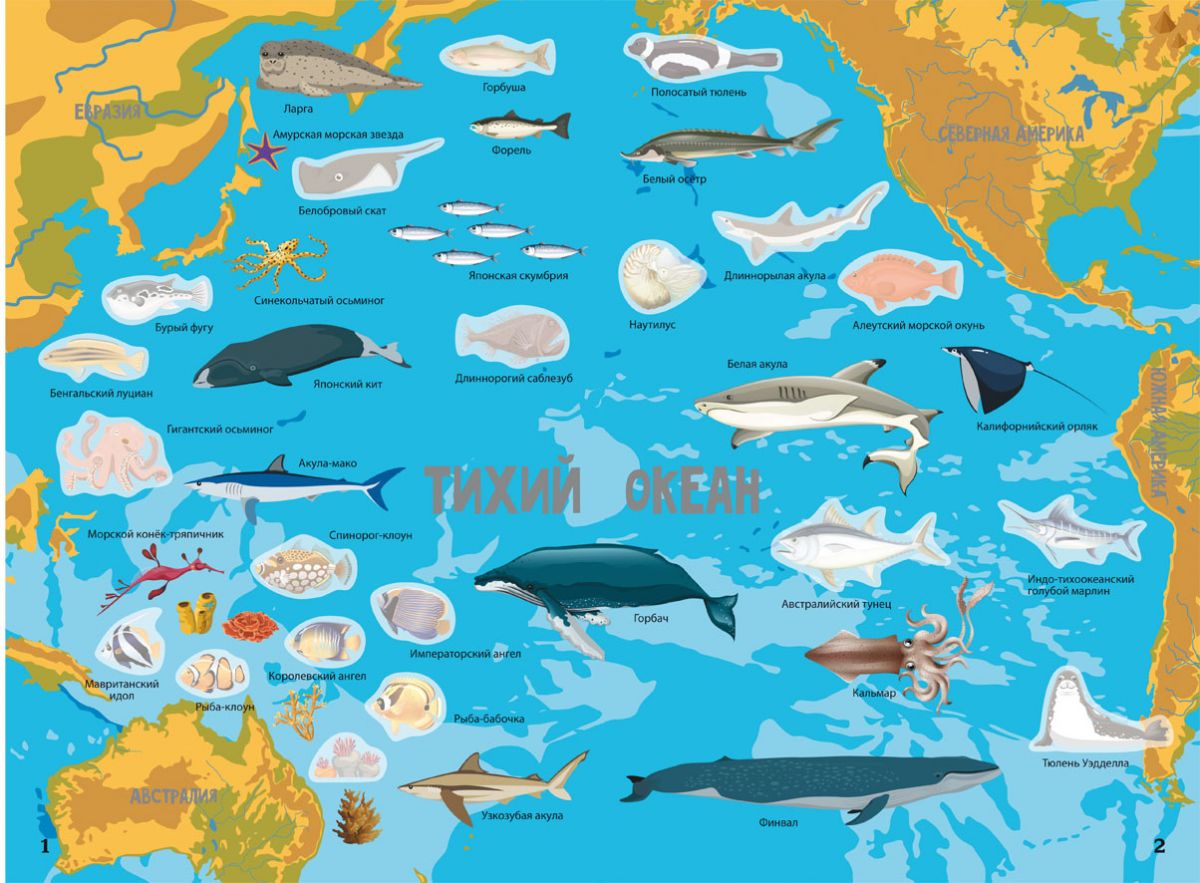 Книга: Атлас океанов с многоразовыми наклейками, рус