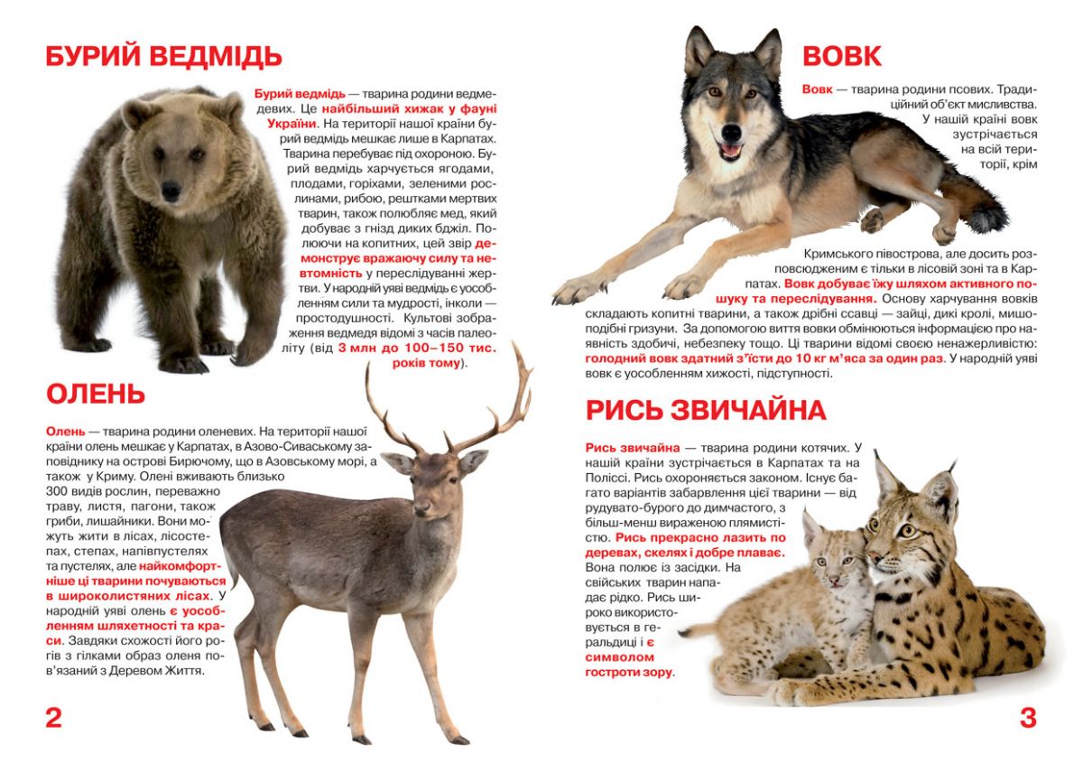 Книга "Большая книга.  Животный мир Украины" (укр)
