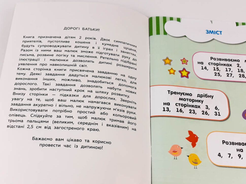 Книга с наклейками "Кмітливчики" 2 года  фото 2