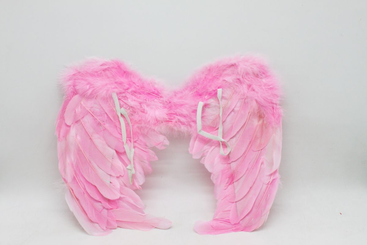 Крылья "Ангела" розовые