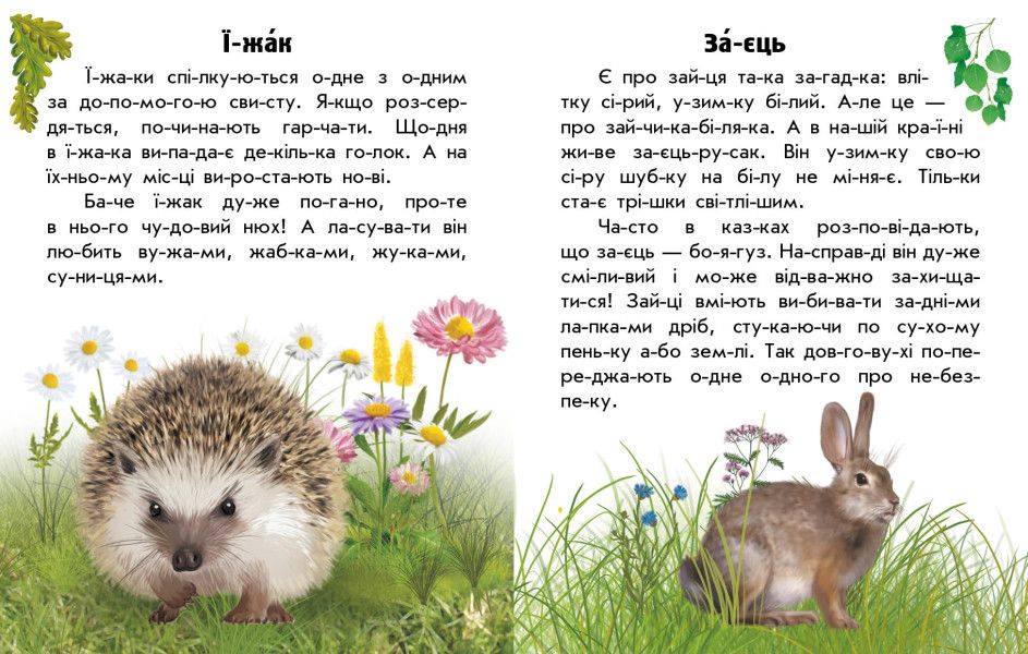 Книга "Читаю про Україну: Тварини лісів" (укр)