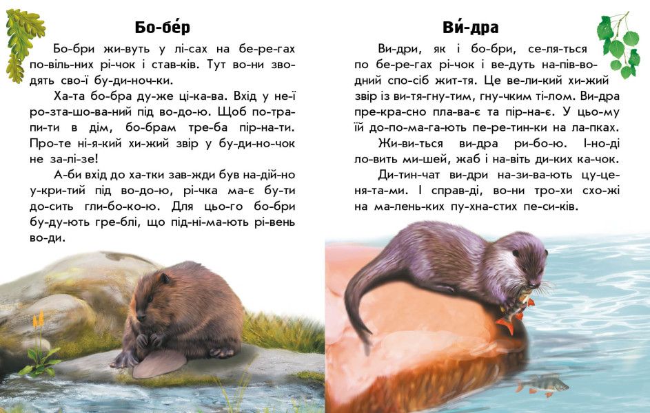 Книга "Читаю про Україну: Тварини річок та морів" (укр)