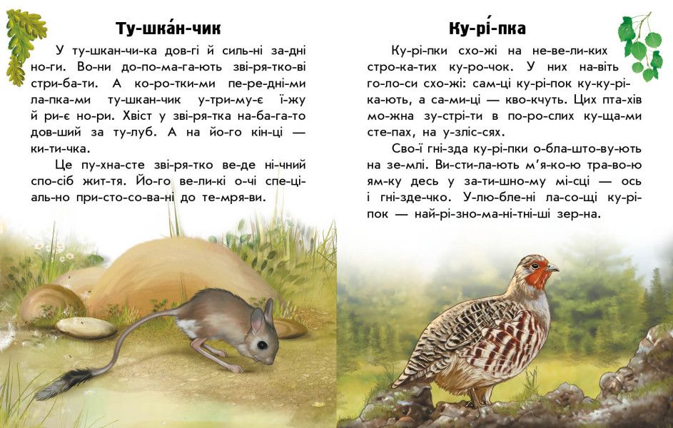 Книга "Читаю про Україну: Тварини степів" (укр)