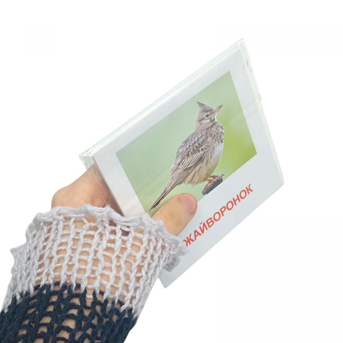 Картки міні "Квіти" (17 карток 11х11) (укр)  фото 2