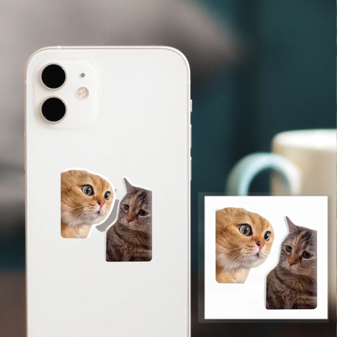 3D стікер "Мем: Коти" (ціна за 1 шт)