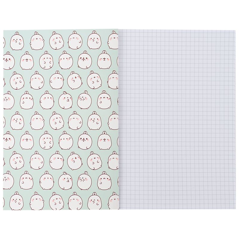Блокнот м'яка обкл.  А5, 40 арк. , клітинка, ML  фото 2