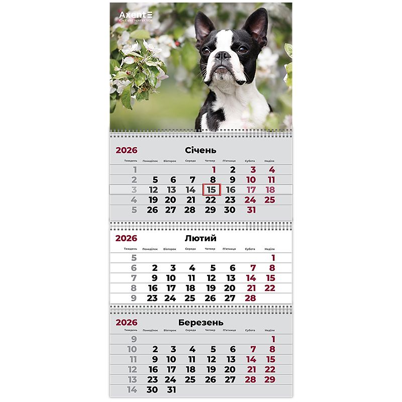 Календар настінний квартальний 2026 р. ,3 пр. Dogs 2 фото 2 Календар настінний квартальний 2026 р. ,3 пр. Dogs 2 фото 2