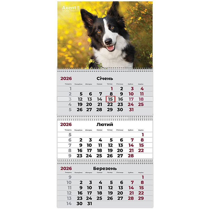 Календар настінний квартальний 2026 р. ,3 пр. Dogs 3 фото 2 Календар настінний квартальний 2026 р. ,3 пр. Dogs 3 фото 2