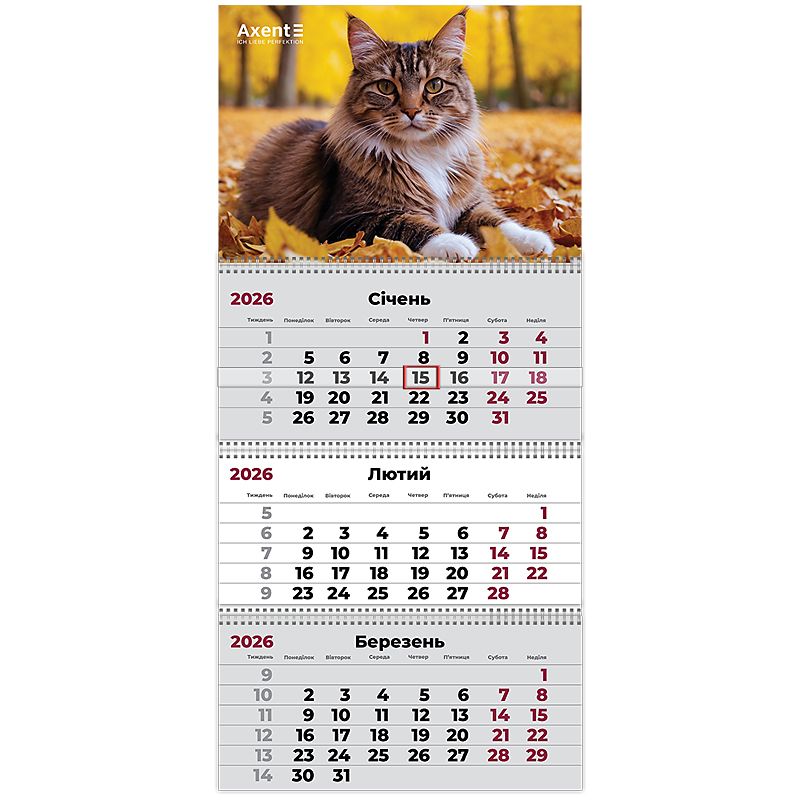 Календар настінний квартальний 2026 р. ,3 пр.  Cats 2  фото 2