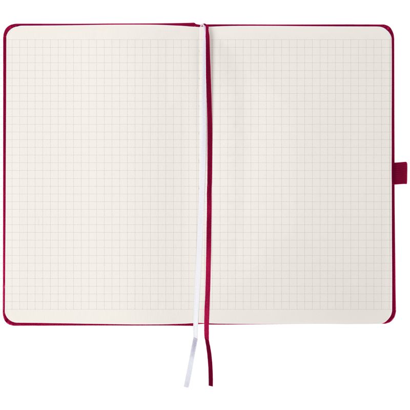 Книга записна Partner, 125*195, 96арк, кліт, винна, Воля фото 2 Книга записна Partner, 125*195, 96арк, кліт, винна, Воля фото 2