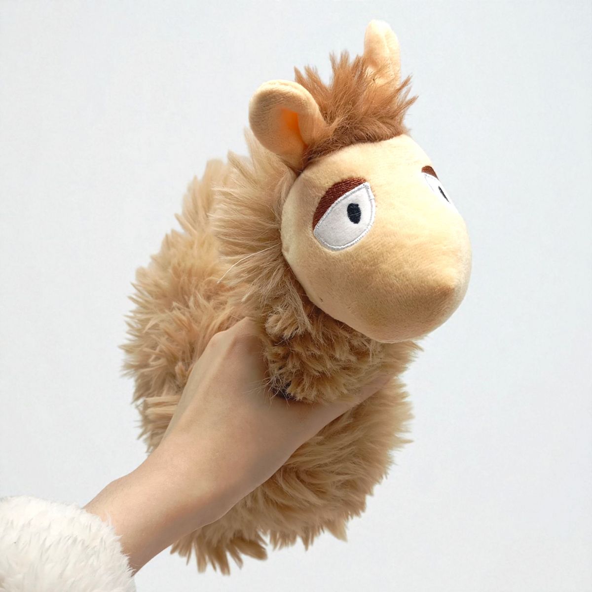 Альпака Педро  фото 2 Альпака Педро  фото 2