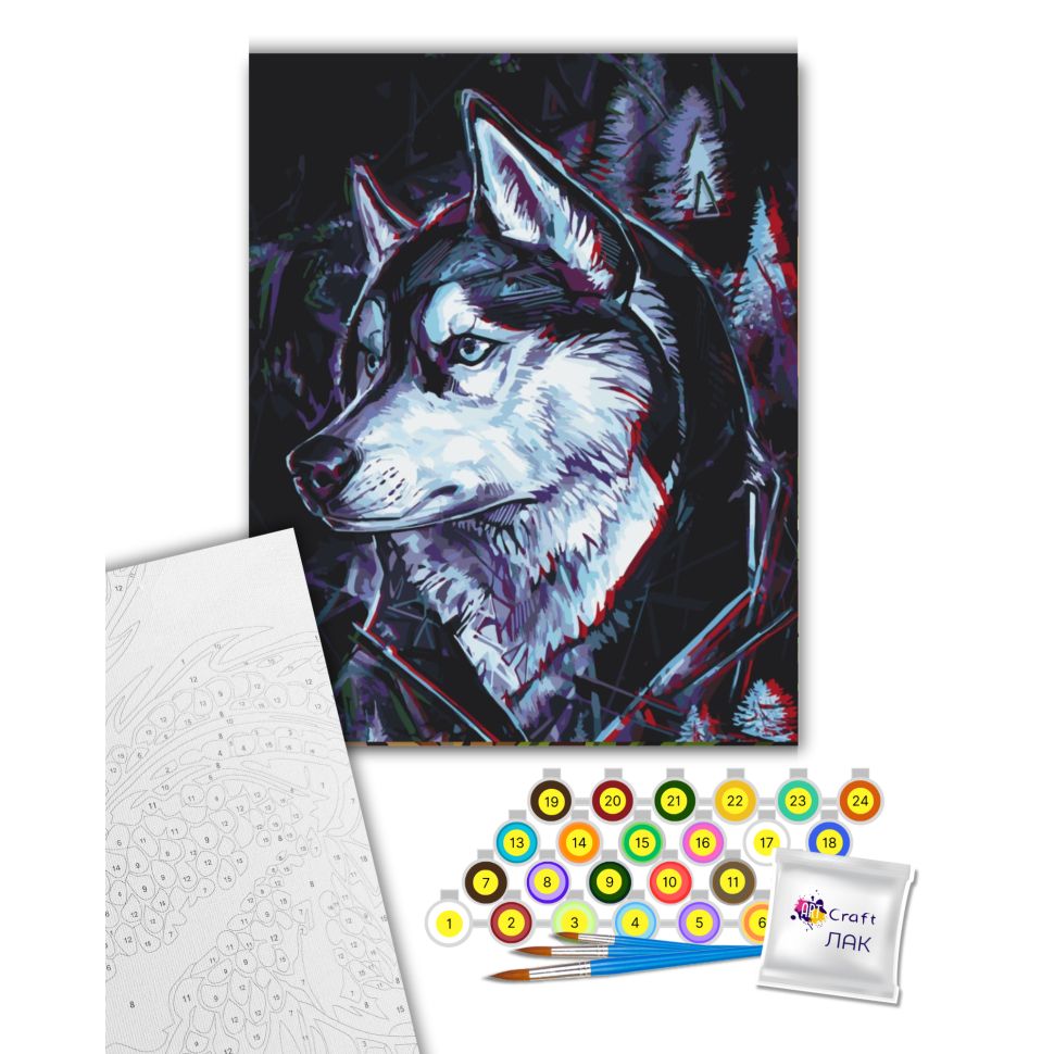 Картина за номерами "Друг Хаскі" 40х50 см  фото 2