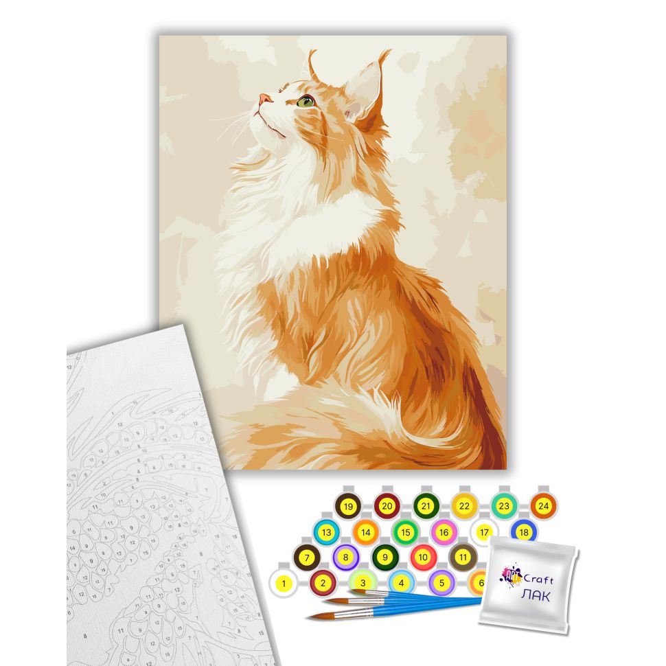 Картина за номерами "Рудий Мейн-кун" 40х50 см  фото 2