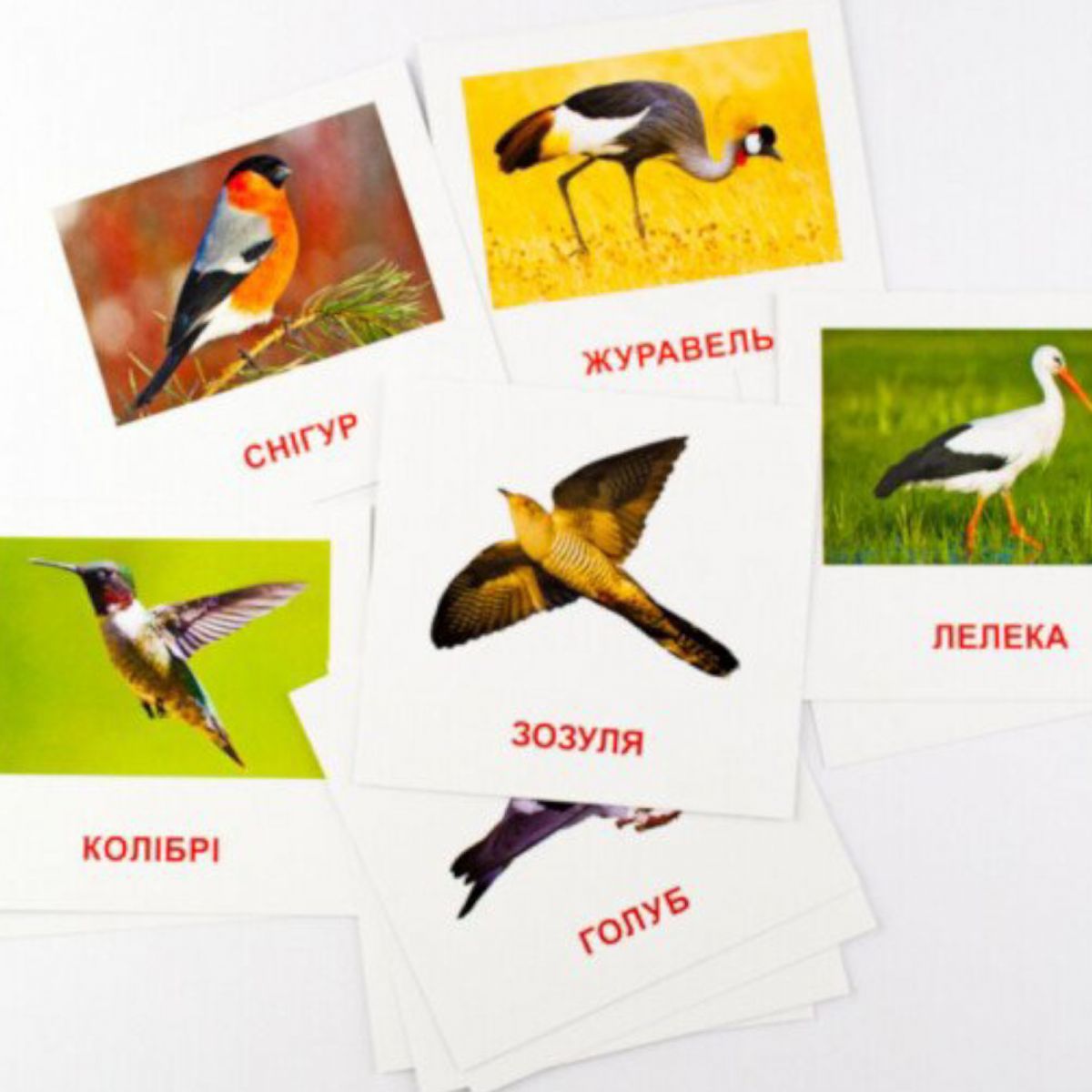 Картки міні Птахи (110х110 мм) (укр)  фото 2