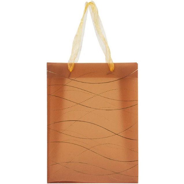 Пакет пластиковий подарунковий (25х19 см)  фото 2