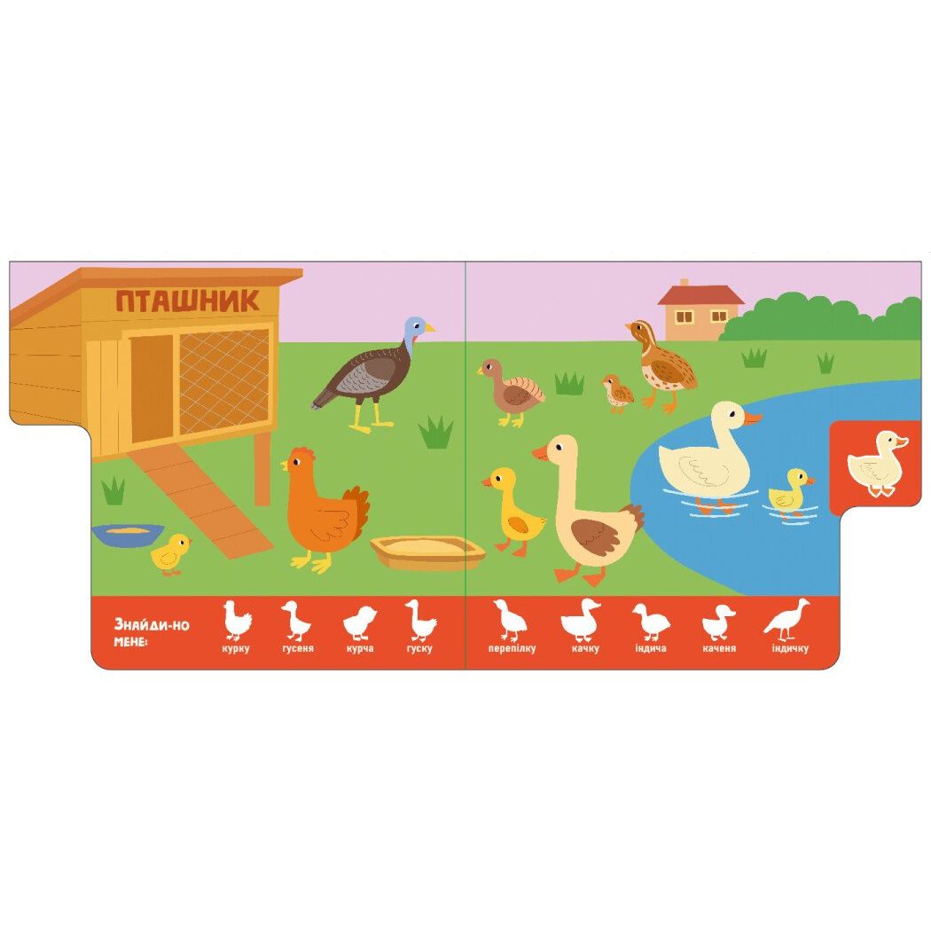 Книжка "Знайди-но мене! : Мами і дитинчата" (у)  фото 2