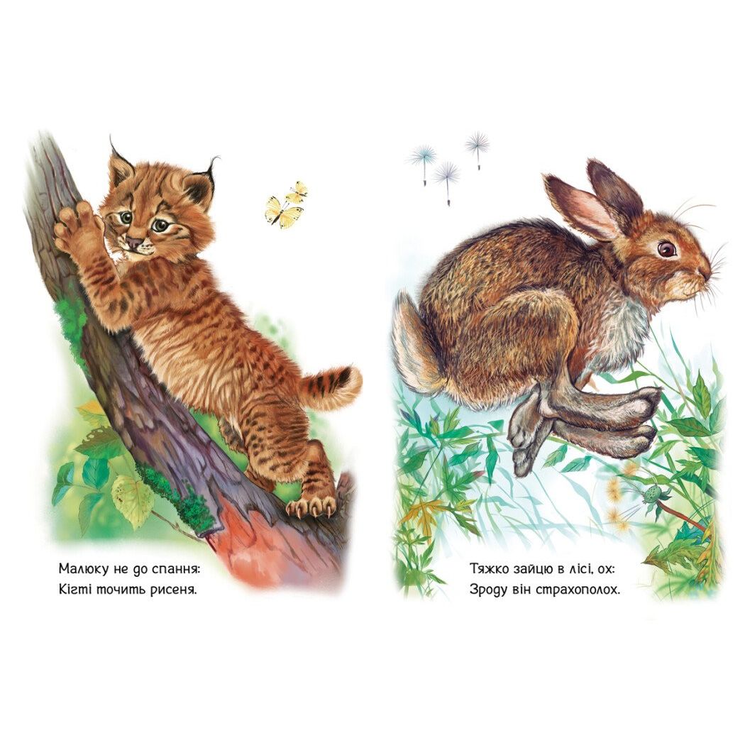 Малятам про звіряток, збірник : Лісові звірята (у)  фото 2