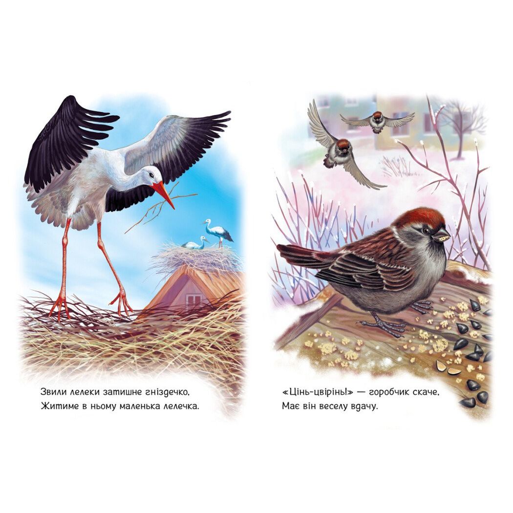 Малятам про звіряток, збірник : Поруч з нами  фото 2