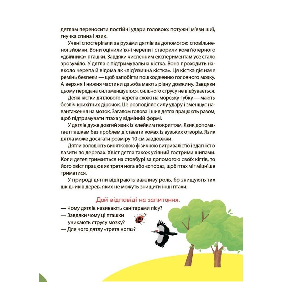 Книжка дитяча "Читанки.  Читанка-ЧОМУчка" 9+ (укр)  фото 2