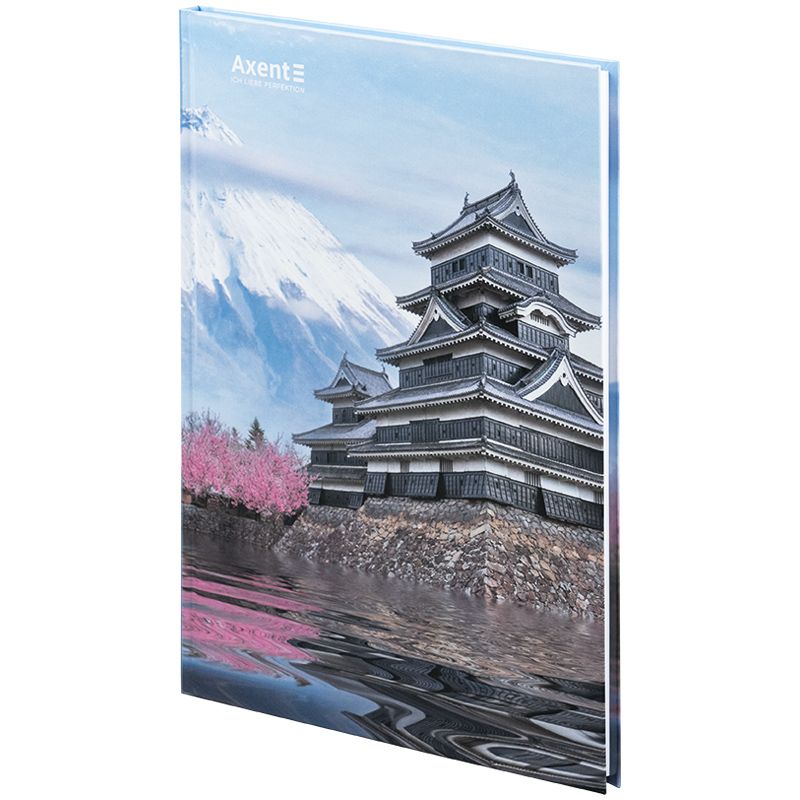 Книга записна А4-, 203*273 мм,96арк. , кліт. , City, Tokyo  фото 2