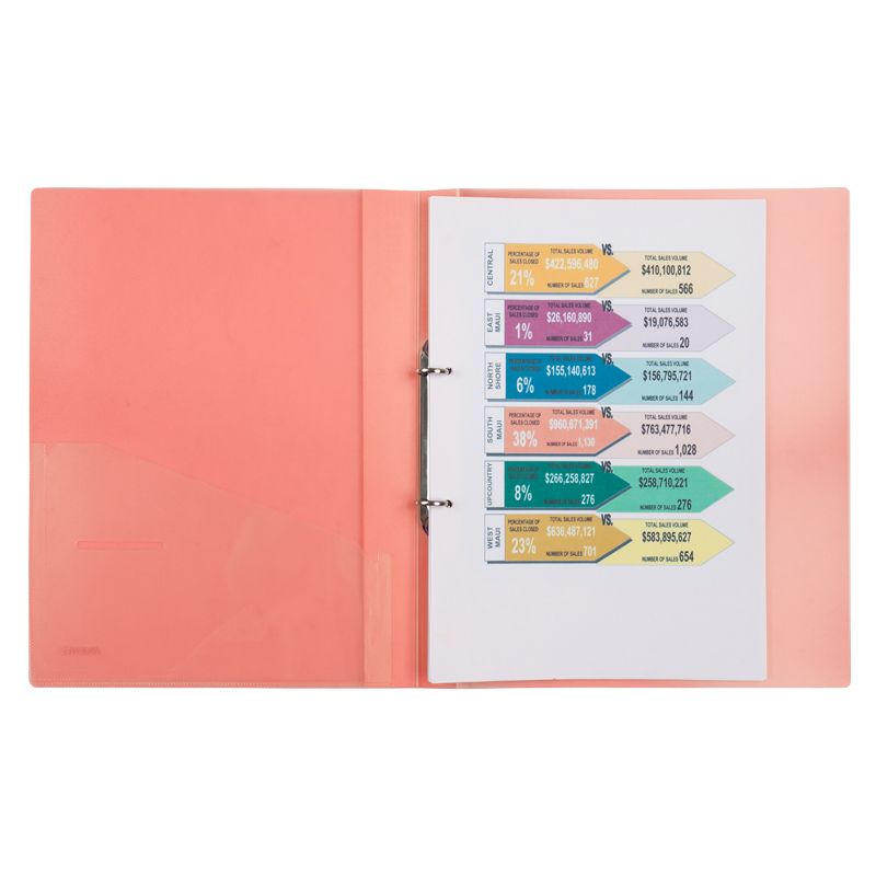 Папка на 2-х кільцах, 25мм, прозора рожева  фото 2