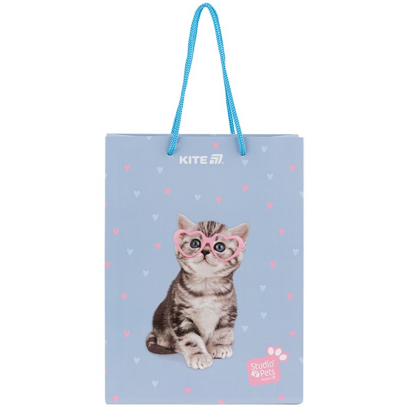 Пакет паперовий подарунковий, 18х24см, SP  фото 2