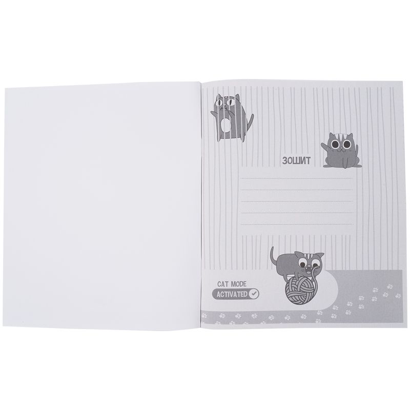 Зошит предметн.  48 арк. , кл. , софт т. гібр. л, Cat, хімія  фото 2