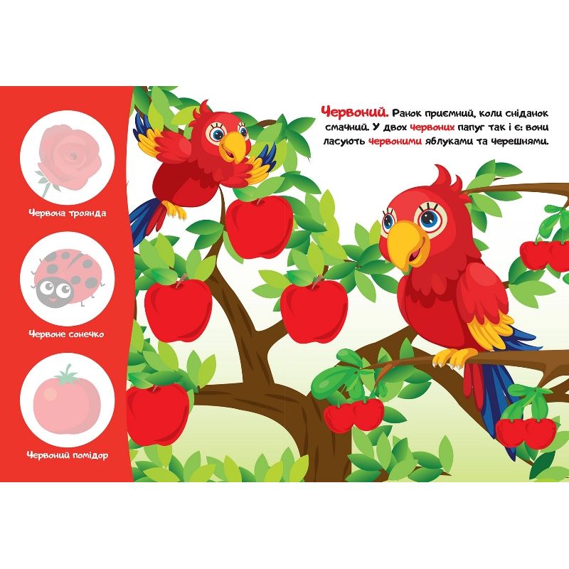 Книжка: "Перші наліпки для малюків Ку-ку-ріку! Якого кольору?"  фото 2