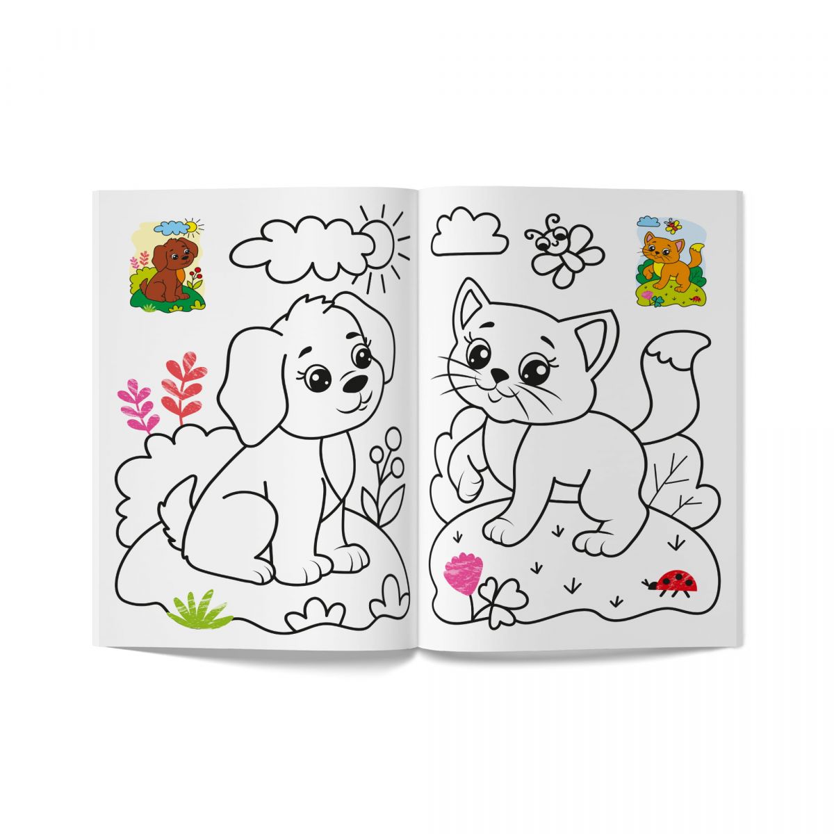 Книга розмальовка "Кольорованка.  Тваринки"  фото 2