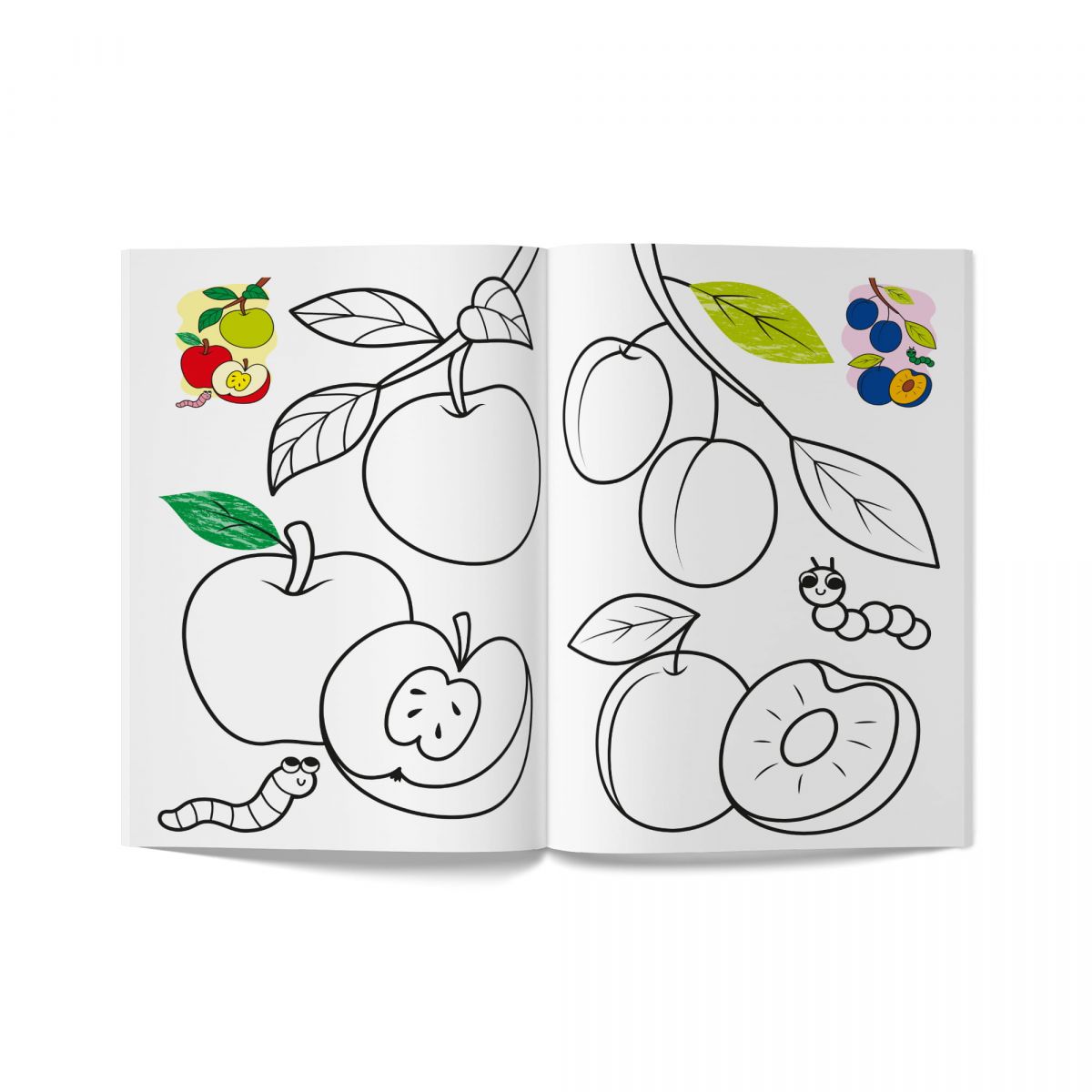 Книга розмальовка "Кольорованка.  Фрукти"  фото 2