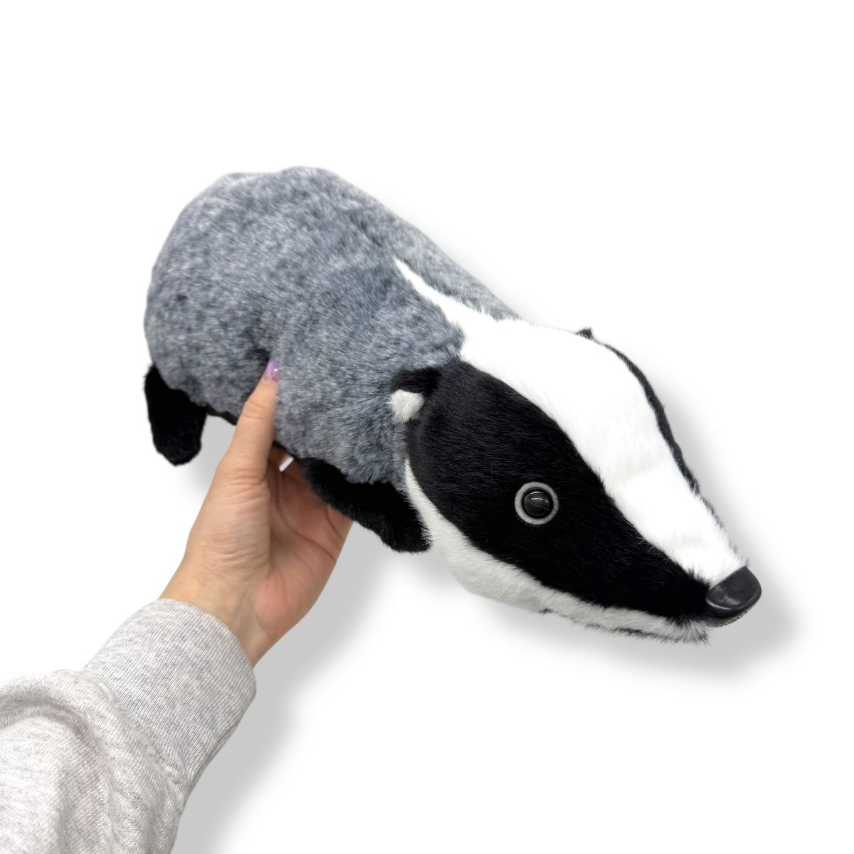 Борсук Лілу  фото 2