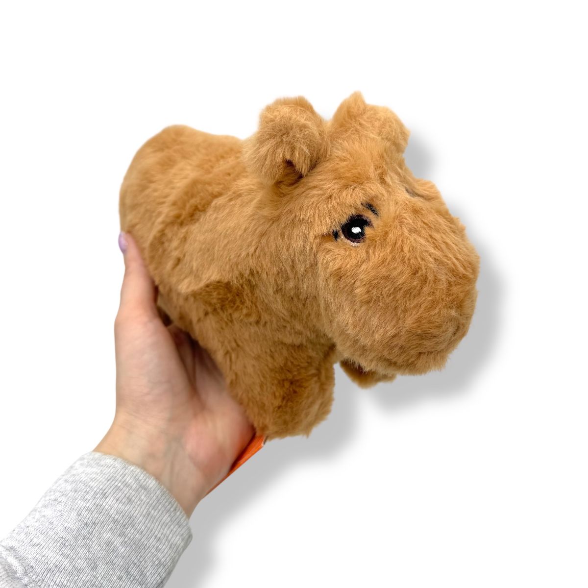 Капібара к  фото 2