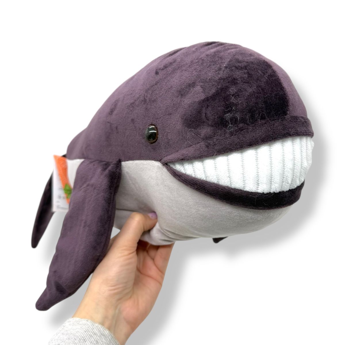 Кит Зоо  фото 2