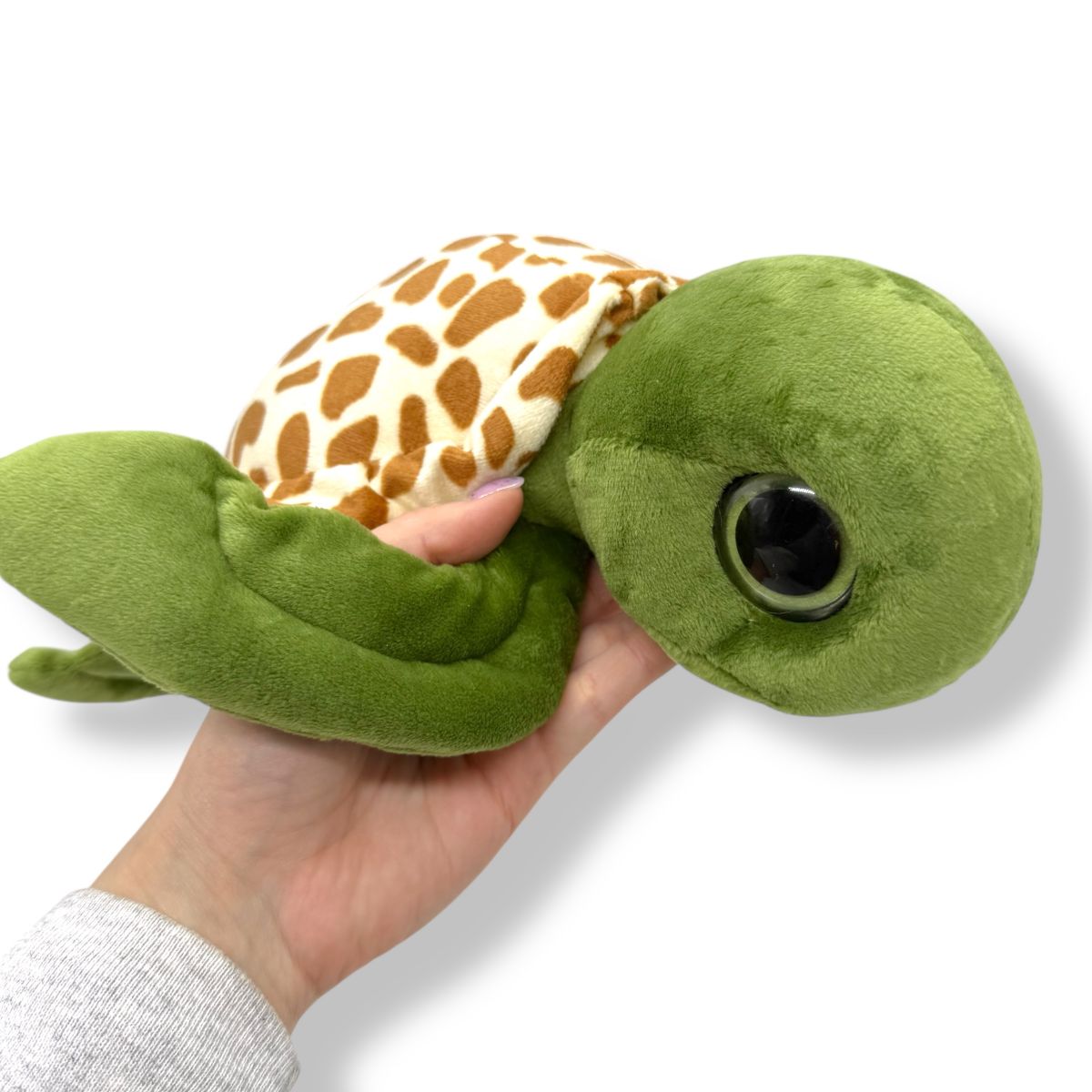 Черепаха коричневая  фото 2