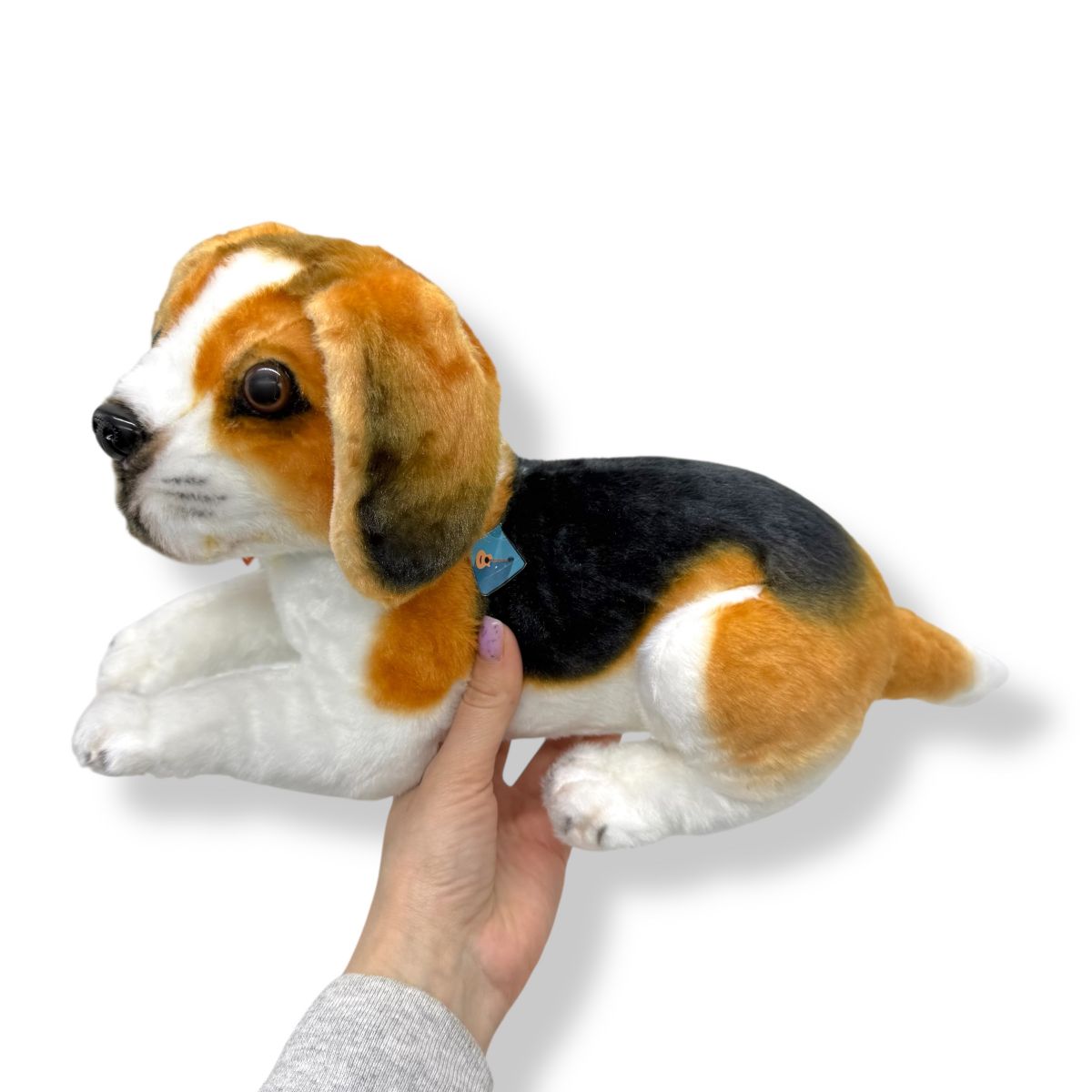 Пес Оскар 2 м  фото 2