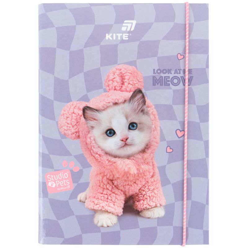 Папка для зошитів В5 на гумці картон, SP  фото 2