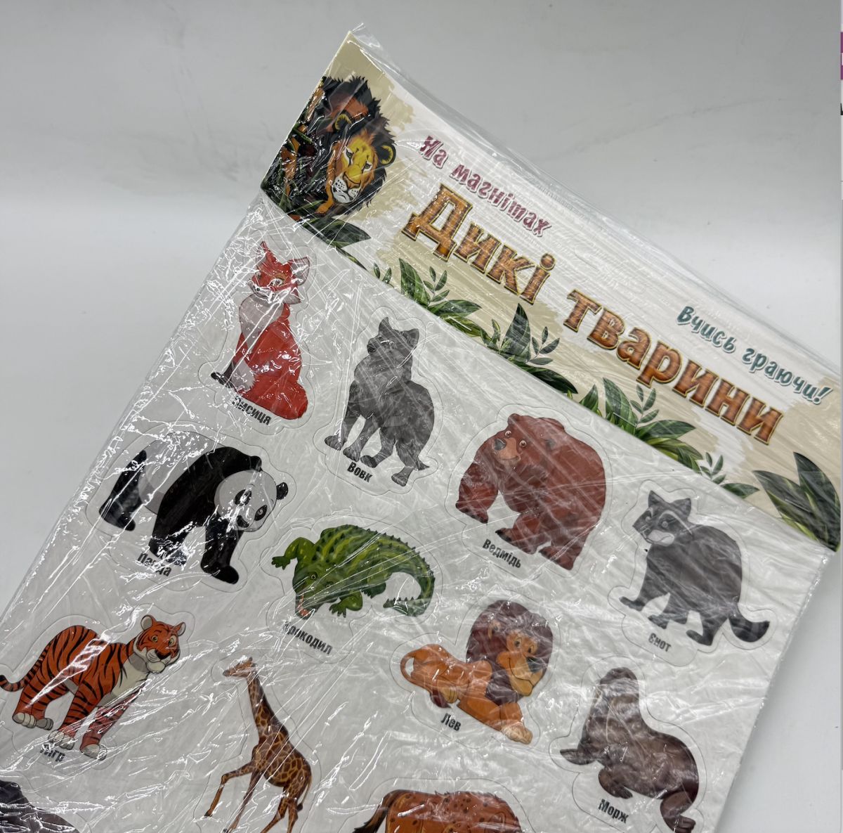Уцінка.  Набір магнітів "Дикі тварини" - ПРОРІЗАНА УПАКОВКА  фото 2