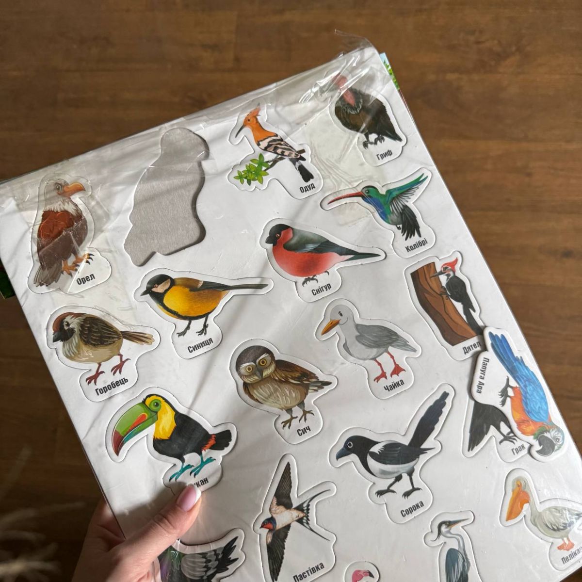 Уценка.  Набор магнитов "Птицы", на планшете, 20 штук (укр) - Не товарньій вид  фото 2