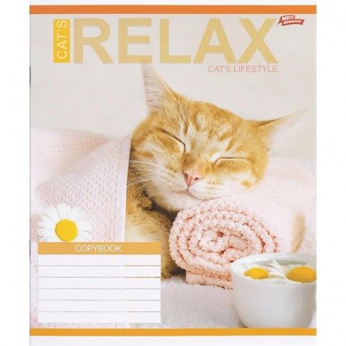 Тетрадь ЦВЕТНАЯ на 18 листов КЛЕТКА "RELAX CATʼS" (20 ШТ)  фото 2