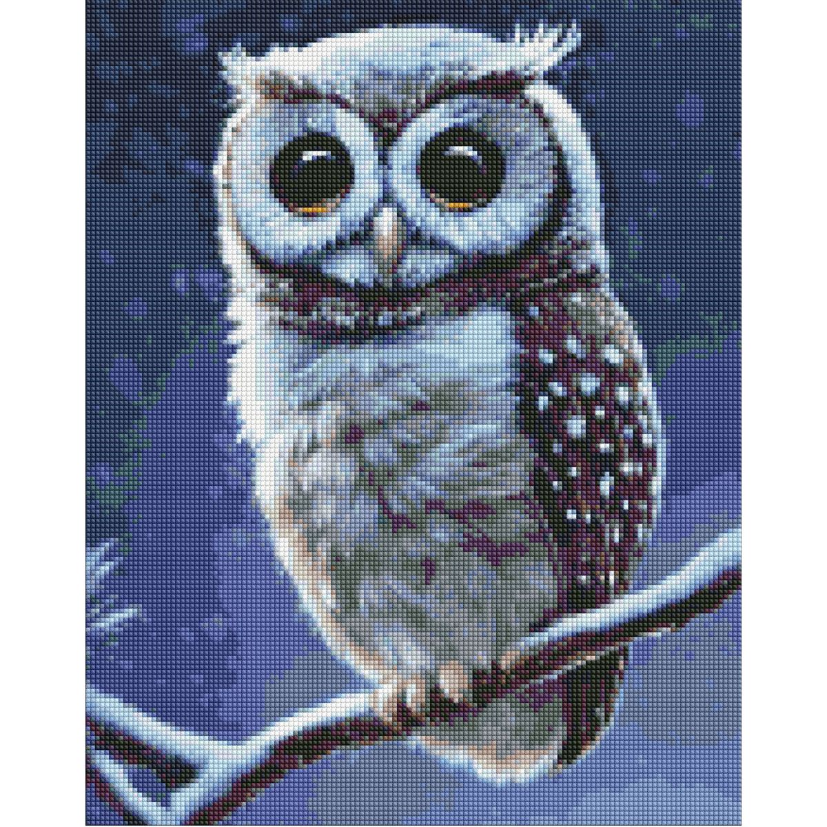 Алмазна мозаїка "Лісова совушка"  фото 1
